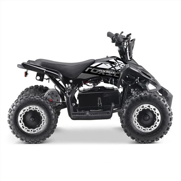 The Electric Mini Quad