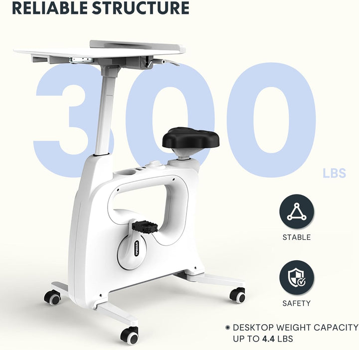 Exercise Bike Standing Desk