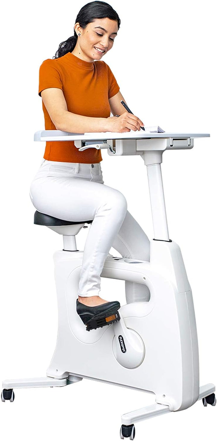 Exercise Bike Standing Desk
