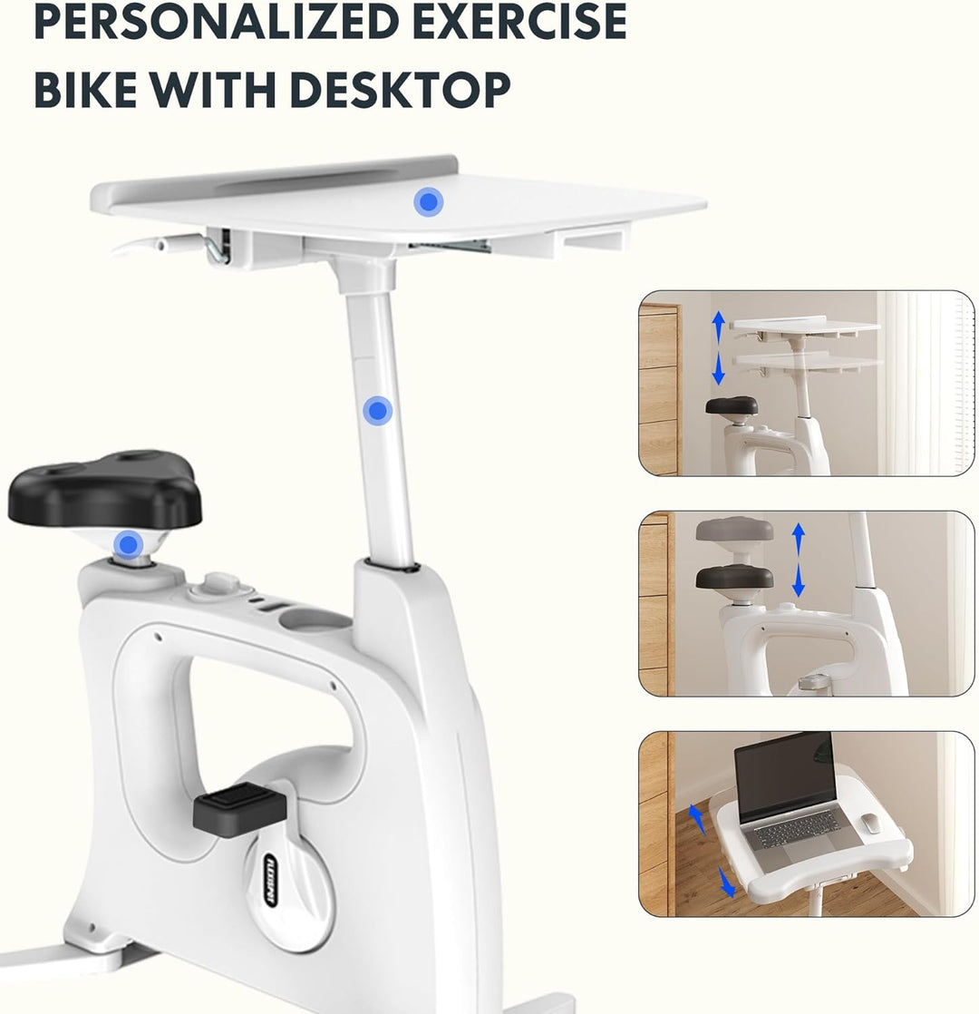 Exercise Bike Standing Desk