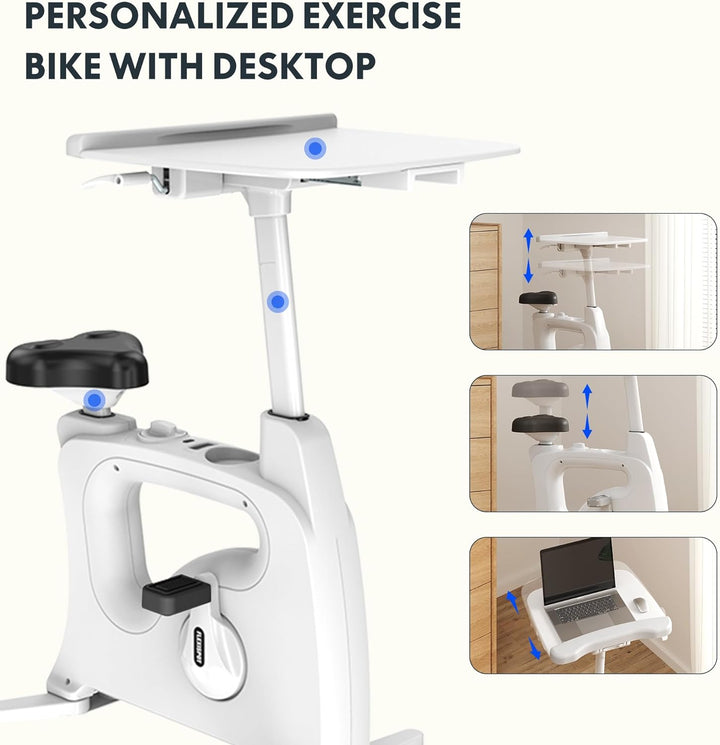Exercise Bike Standing Desk