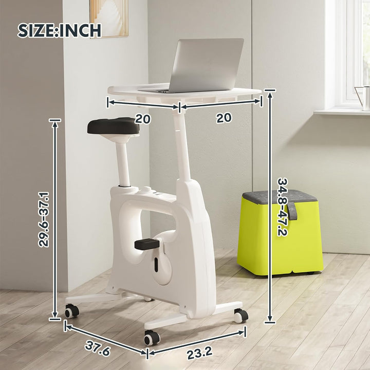 Exercise Bike Standing Desk
