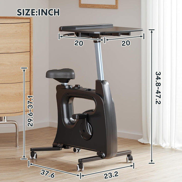 Exercise Bike Standing Desk