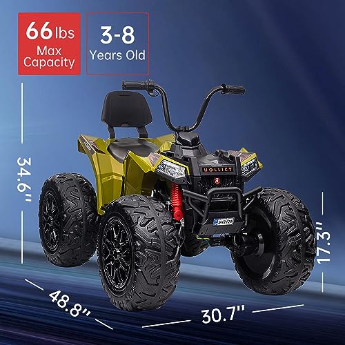 Quad Bike Electric Vehicle