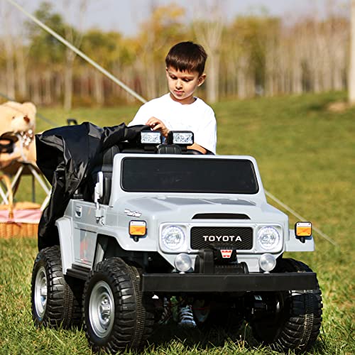 Old Toyota Land Cruiser