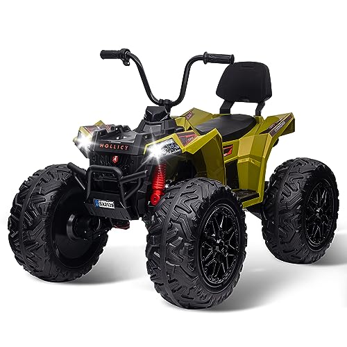 Quad Bike Electric Vehicle