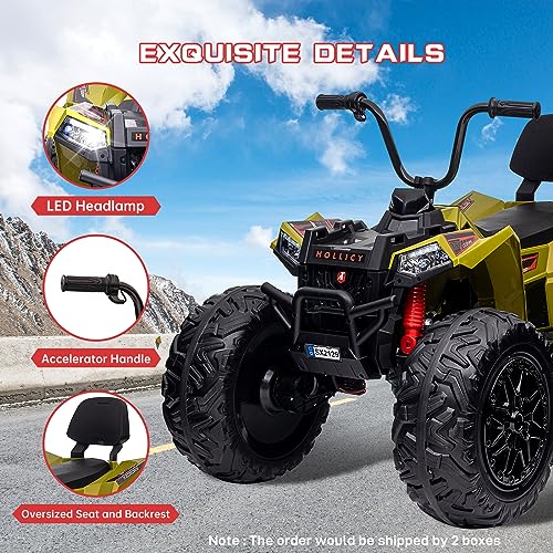 Quad Bike Electric Vehicle